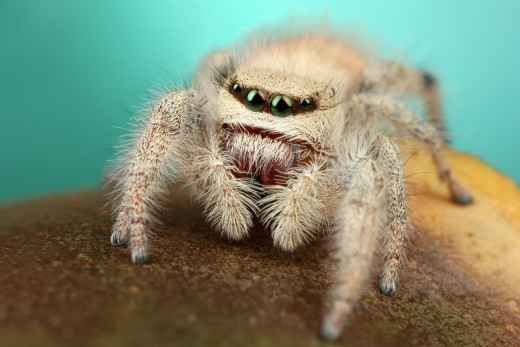 1756758 (a): :2048x1366